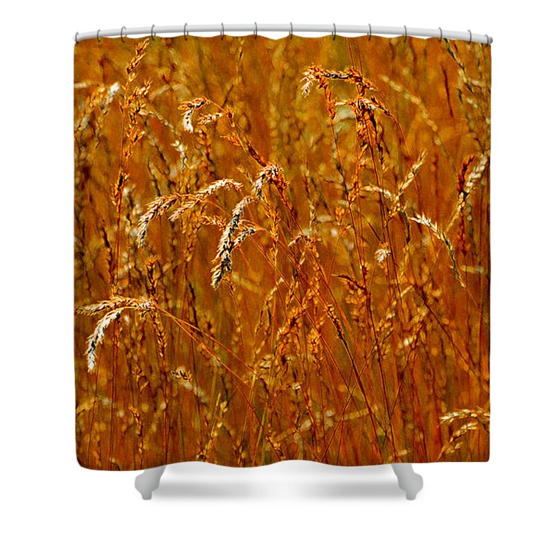 Abstract Shower Curtain featuring the photograph Levels Of Grain 23 by Lyle Crump