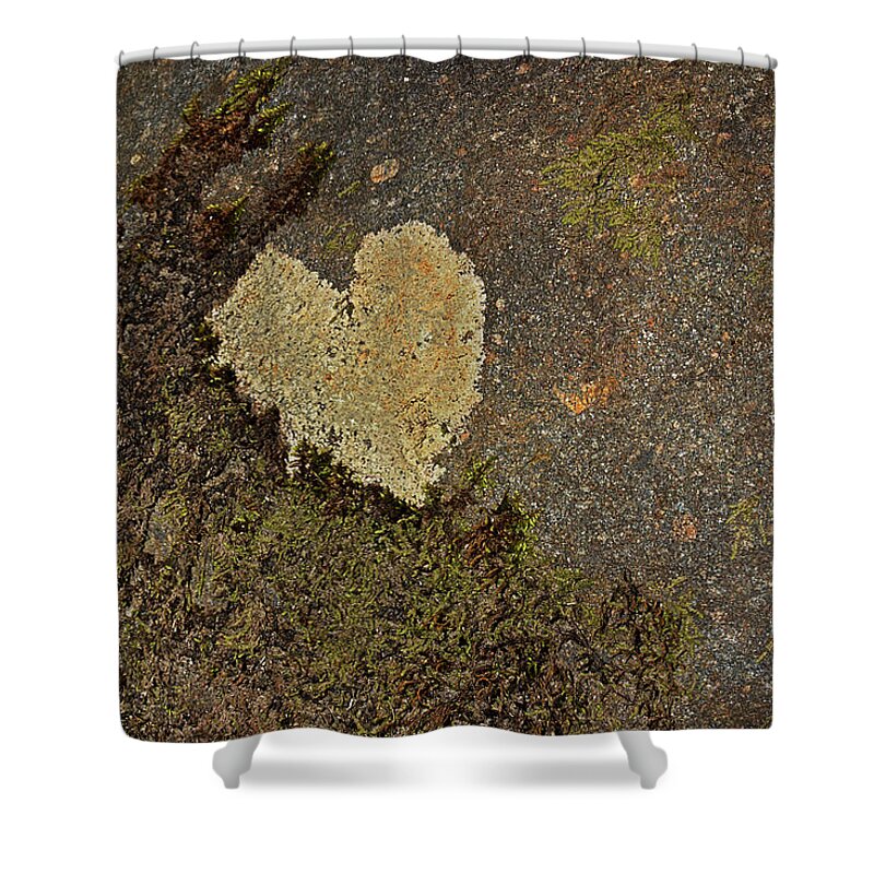 Lichen Shower Curtain featuring the photograph Lichen Love by Mike Eingle