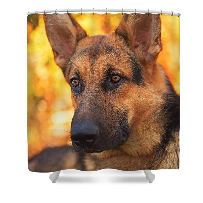 Animal Shower Curtain featuring the photograph Liesl by Brian Cross
