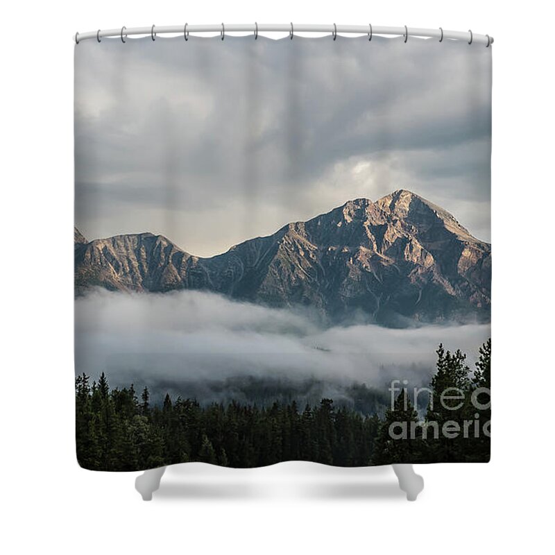 Nature Shower Curtain featuring the photograph Life in the Clouds by Bianca Nadeau