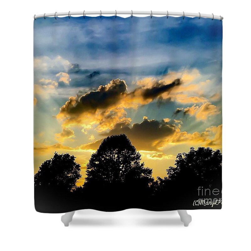 Life With Out Words Shower Curtain featuring the digital art Life With Out Words by MaryLee Parker