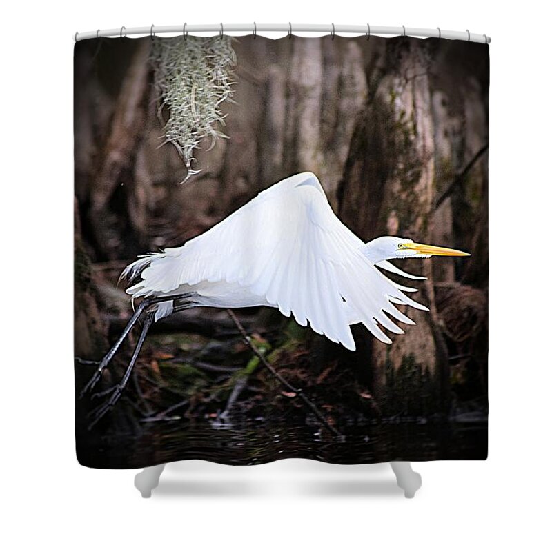 Great White Egret Shower Curtain featuring the photograph Lift Off by Sheri McLeroy