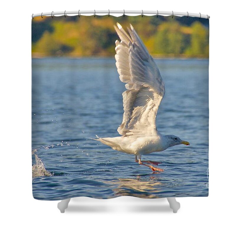 Photography Shower Curtain featuring the photograph Liftoff by Sean Griffin