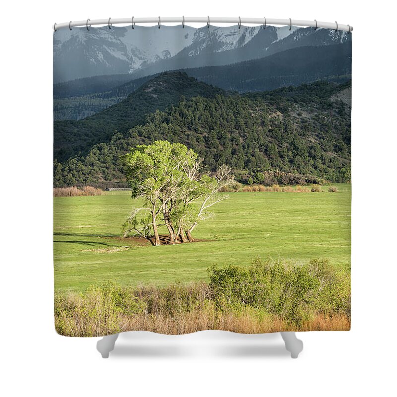 Landscape Shower Curtain featuring the photograph Light And Darkness by Denise Bush