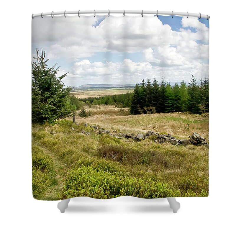Forest Shower Curtain featuring the photograph Light day in the forest near Wilsontown by Elena Perelman