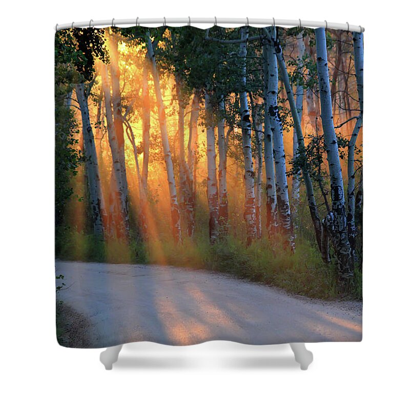 Rays Shower Curtain featuring the photograph Lighting The Way by Shane Bechler