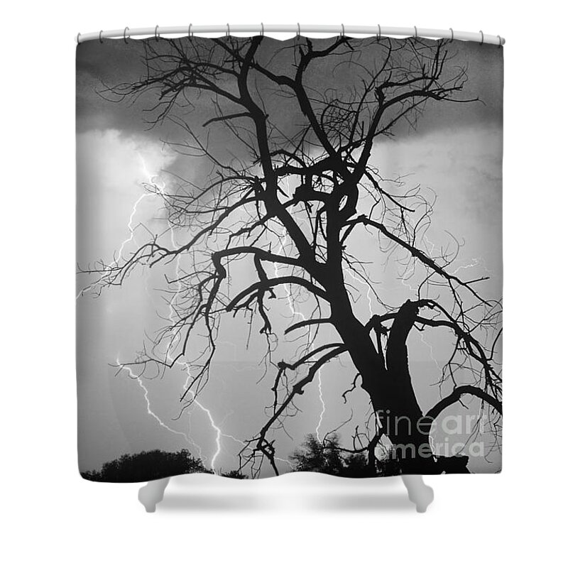 James Bo Insogna Shower Curtain featuring the photograph Lightning Tree Silhouette Portrait BW by James BO Insogna