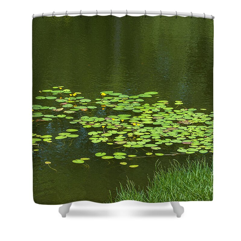 Lilly Pad Shower Curtain featuring the photograph Liily Pads Afloat by Dale Powell