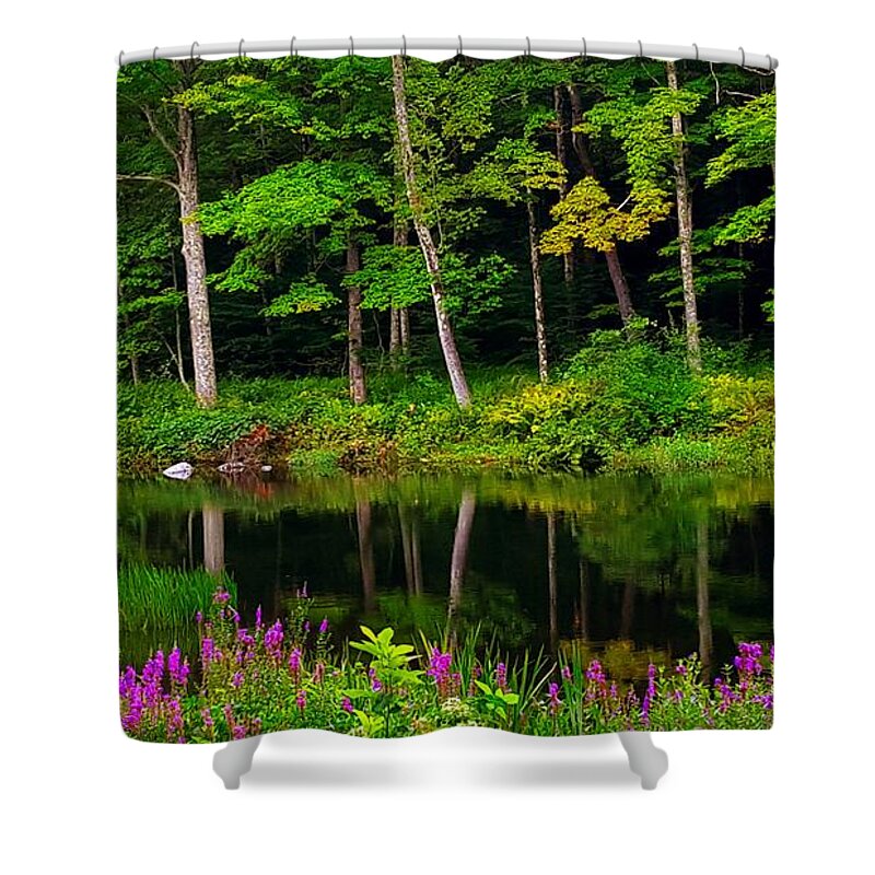 Landscape Shower Curtain featuring the photograph Like A Fairy Tale by Dani McEvoy