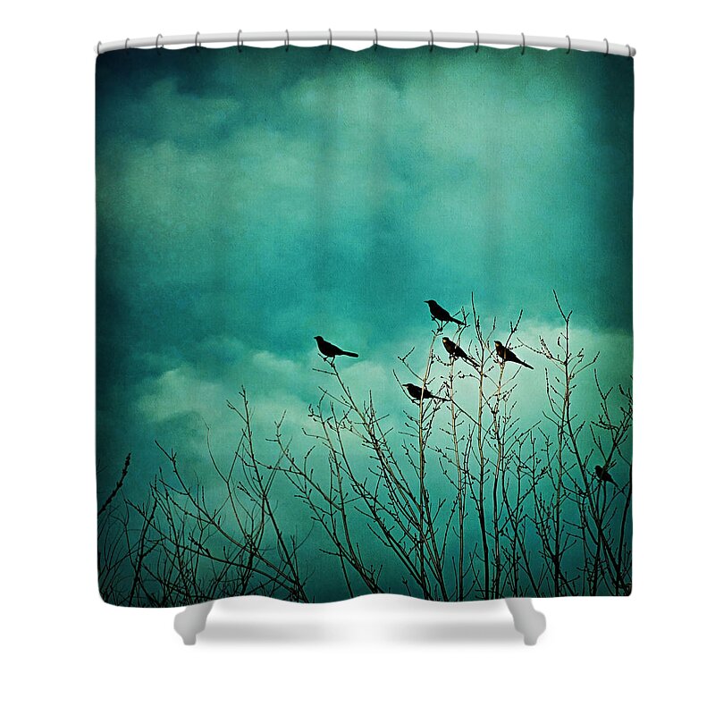 Birds Shower Curtain featuring the photograph Like Birds on Trees by Trish Mistric