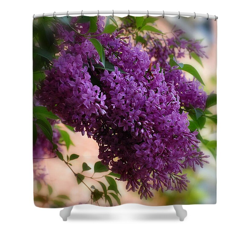 Botanicals Shower Curtain featuring the photograph Lilacs by Elaine Manley