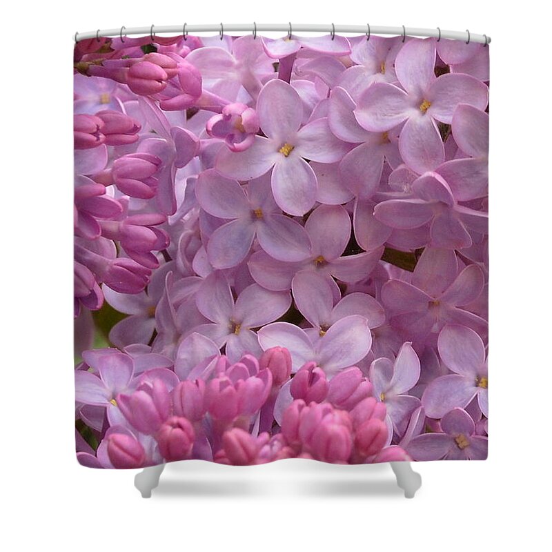 Flowers Shower Curtain featuring the photograph Lilacs by Harry Moulton