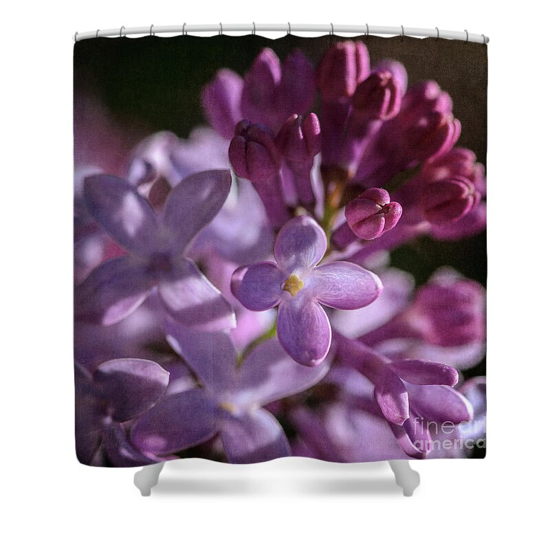 Lilacs Shower Curtain featuring the photograph Lilacs by Tamara Becker