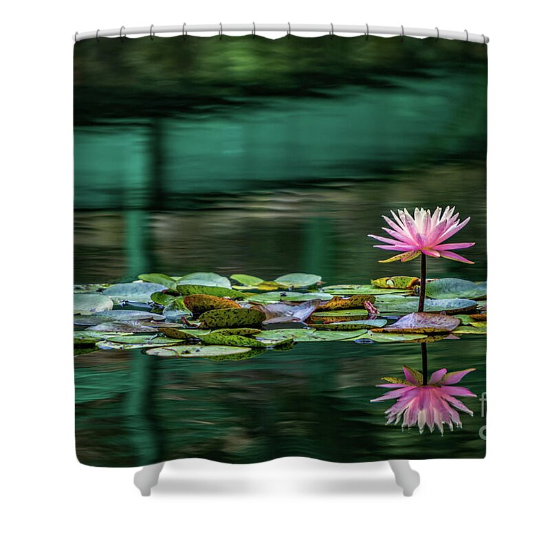 Gibbs Gardens Shower Curtain featuring the photograph Lily Bridge by Doug Sturgess