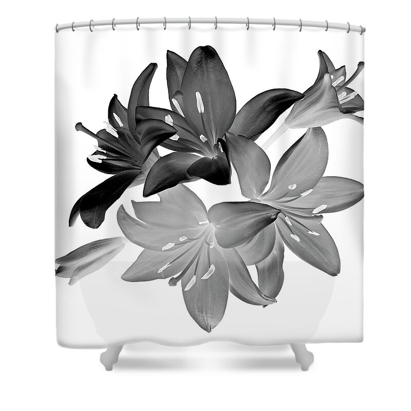 Flowers Shower Curtain featuring the photograph Lily I Black and White by Lily Malor
