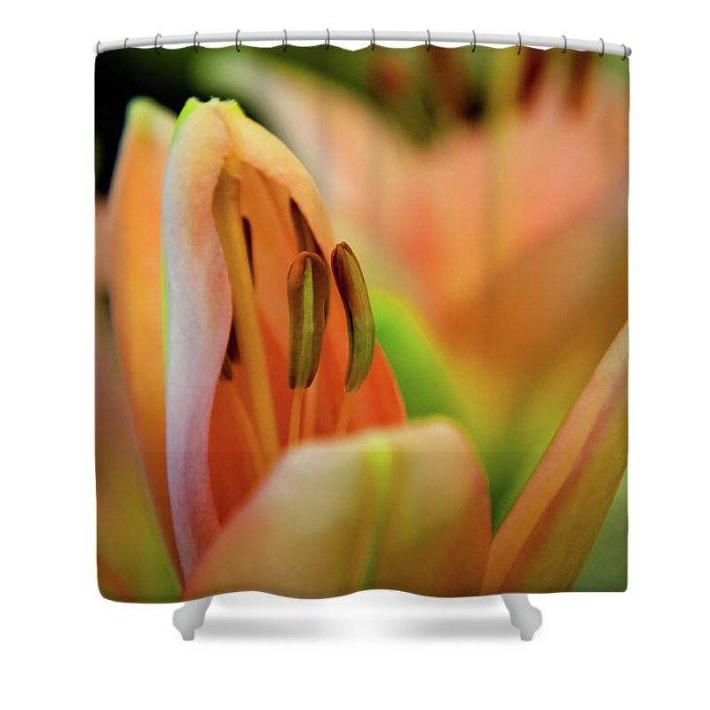 Flower Shower Curtain featuring the photograph Lily by Mariusz Talarek