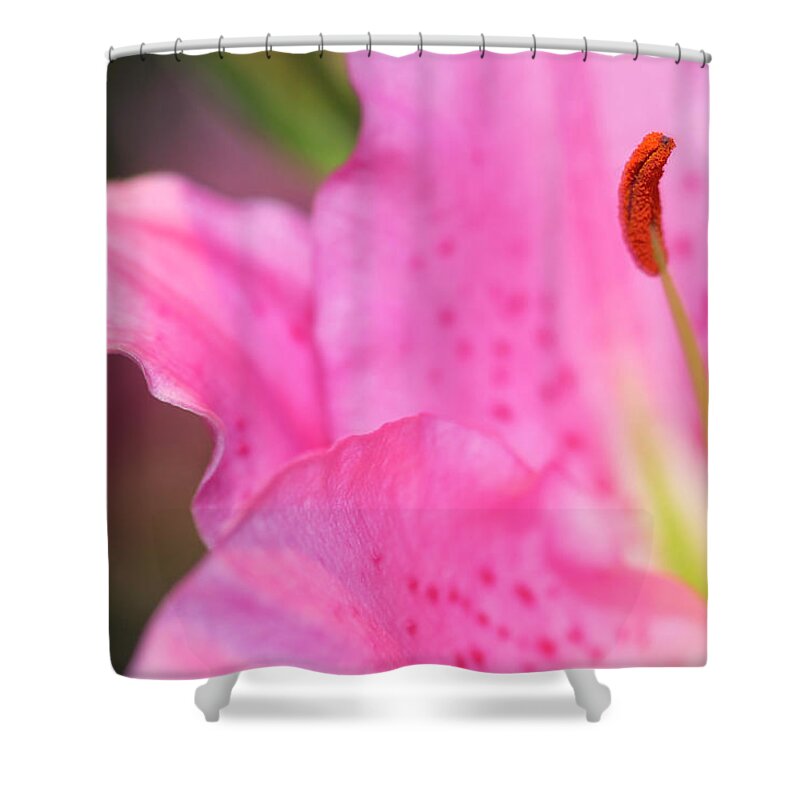 Lily Shower Curtain featuring the photograph Lily by Nancy Dunivin