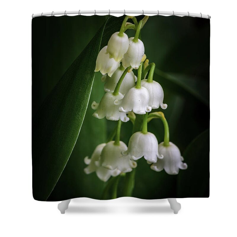 Lily Of The Valley Shower Curtain featuring the photograph Lily Of The Valley Bouquet by Tamara Becker