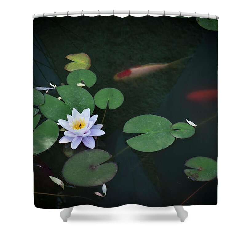 Pond Shower Curtain featuring the photograph Lily Pad Flower and Koi by Mary Lee Dereske