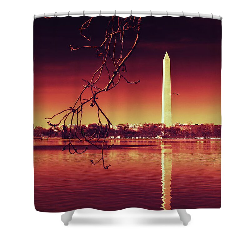 Washington Shower Curtain featuring the photograph Line Up by Iryna Goodall