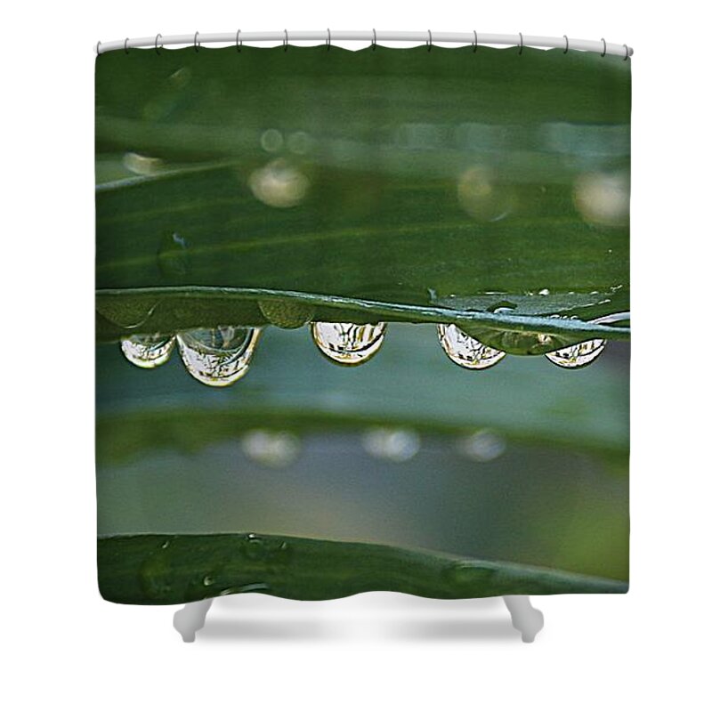 Droplets Shower Curtain featuring the photograph Line up by Yumi Johnson