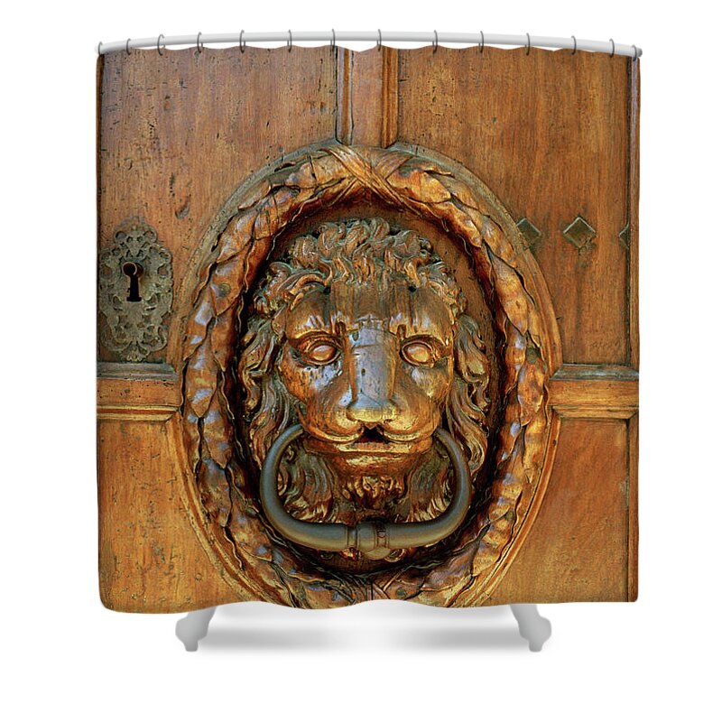Lion Shower Curtain featuring the photograph Lion Of Aix by Shaun Higson