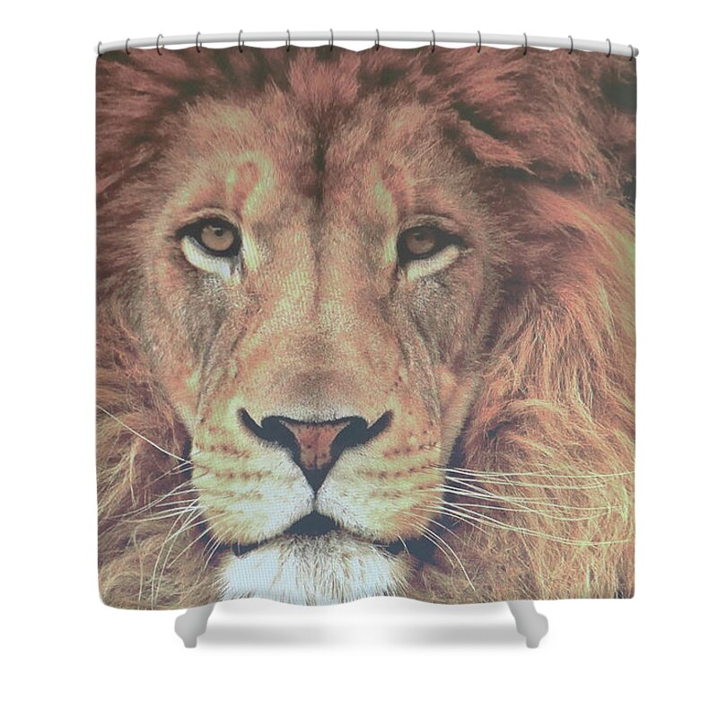  Big Cats Art Shower Curtain featuring the photograph Lion of Judah by Dennis Baswell