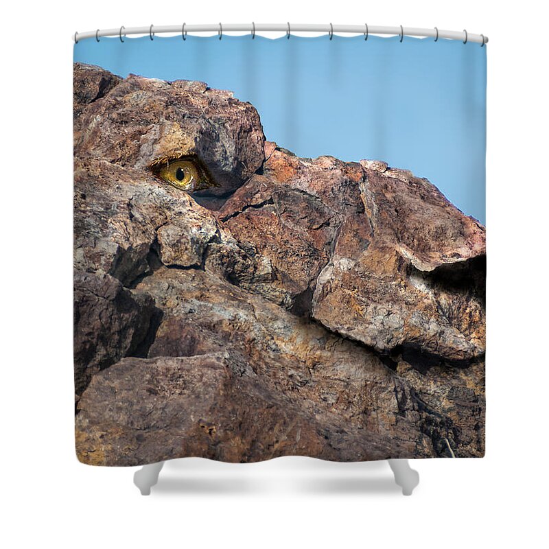 Lion Shower Curtain featuring the digital art Lion Rock by Rick Mosher