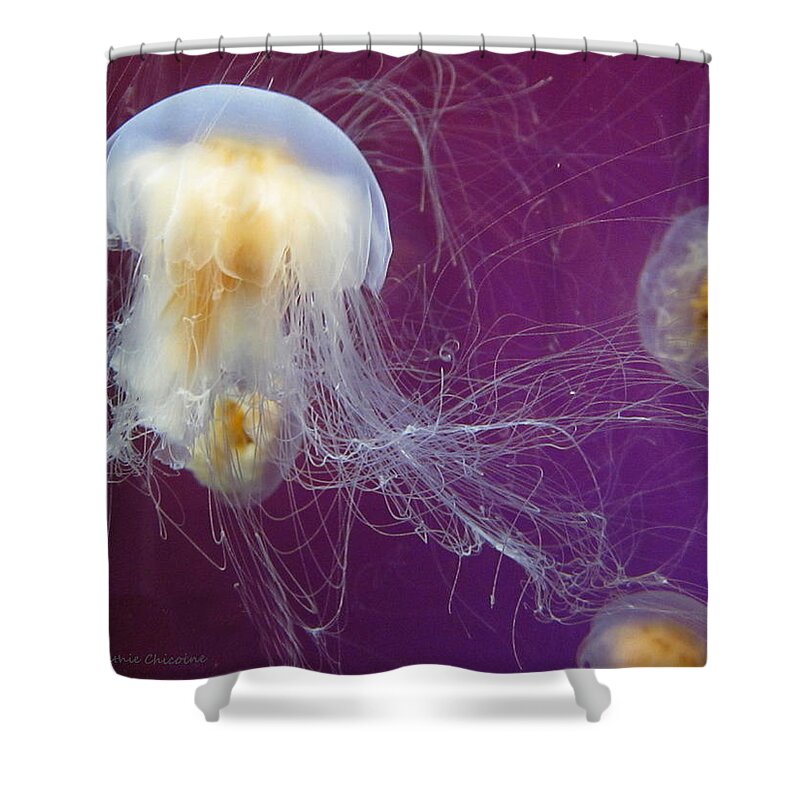 Photography Shower Curtain featuring the photograph Lion's Mane Jelly by Kathie Chicoine