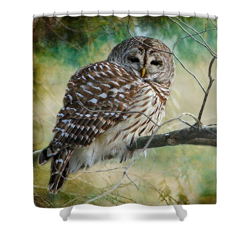 Great Grey Owl Shower Curtain featuring the photograph Listen ponder speak by Heather King