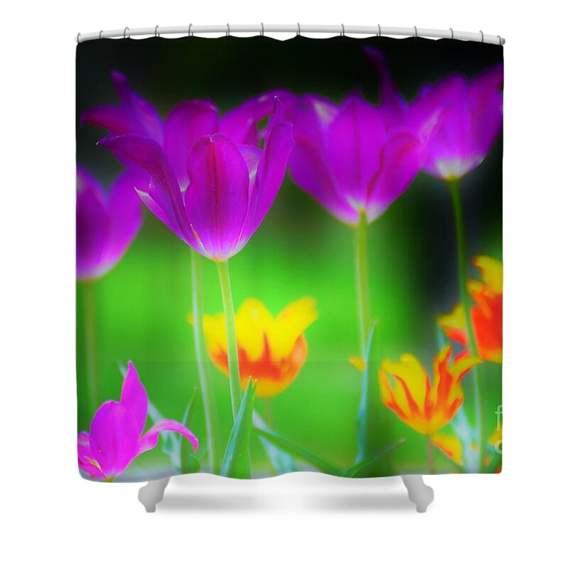 Flowers Shower Curtain featuring the photograph Lite from Below by Merle Grenz