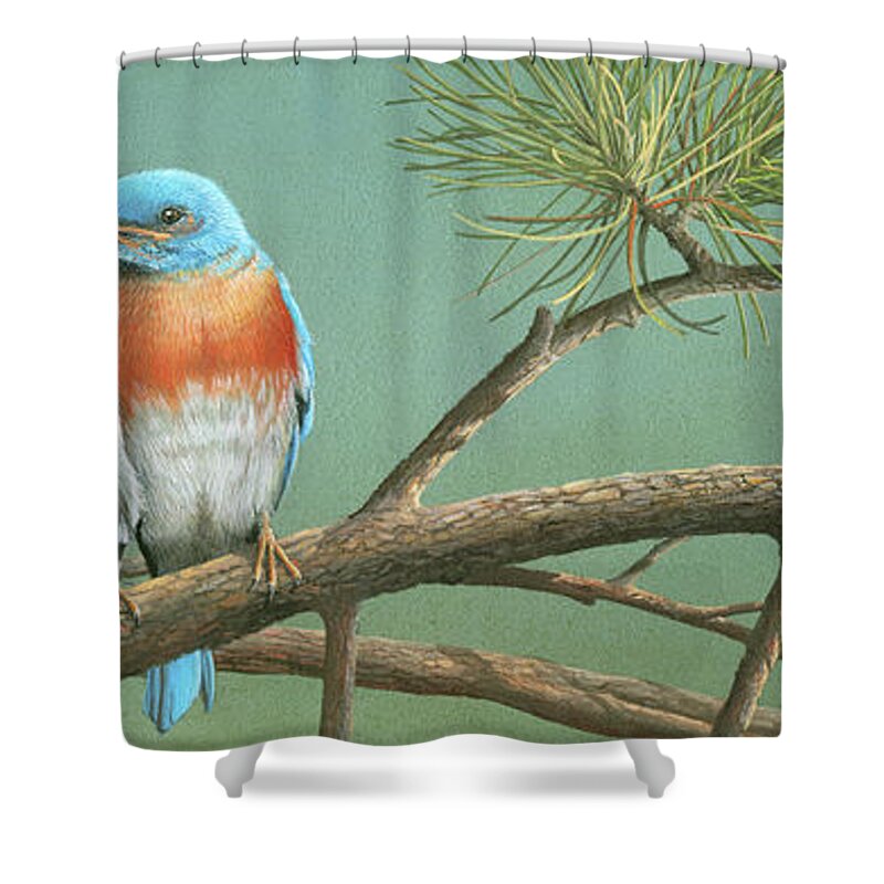 Blue Bird Shower Curtain featuring the painting Little Boy Blue by Mike Brown