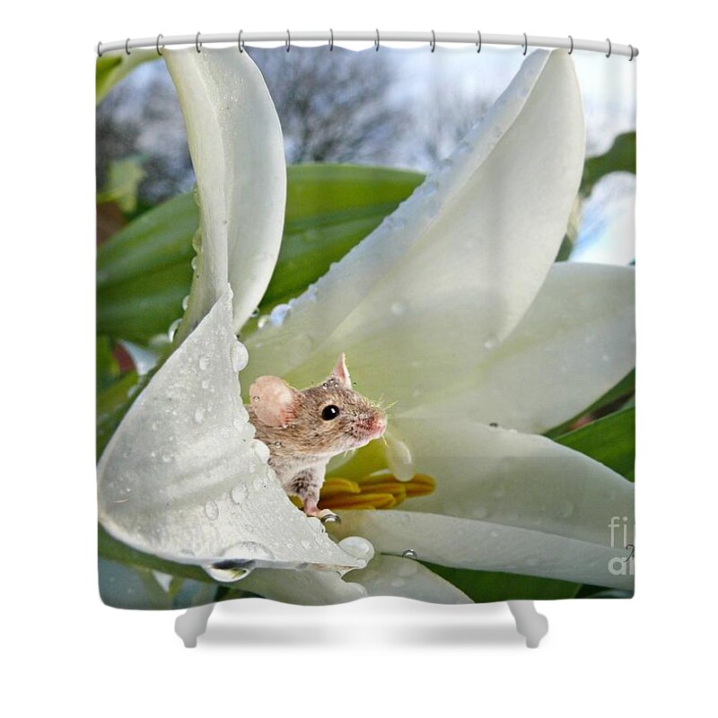 Field Mouse Shower Curtain featuring the pyrography Little Field Mouse by Morag Bates