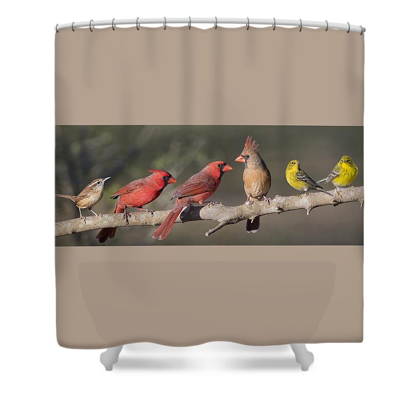 Flock Shower Curtain featuring the photograph Little Flock by Bonnie Barry