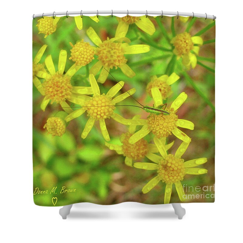 Flowers Shower Curtain featuring the photograph Little Grasshopper by Donna Brown