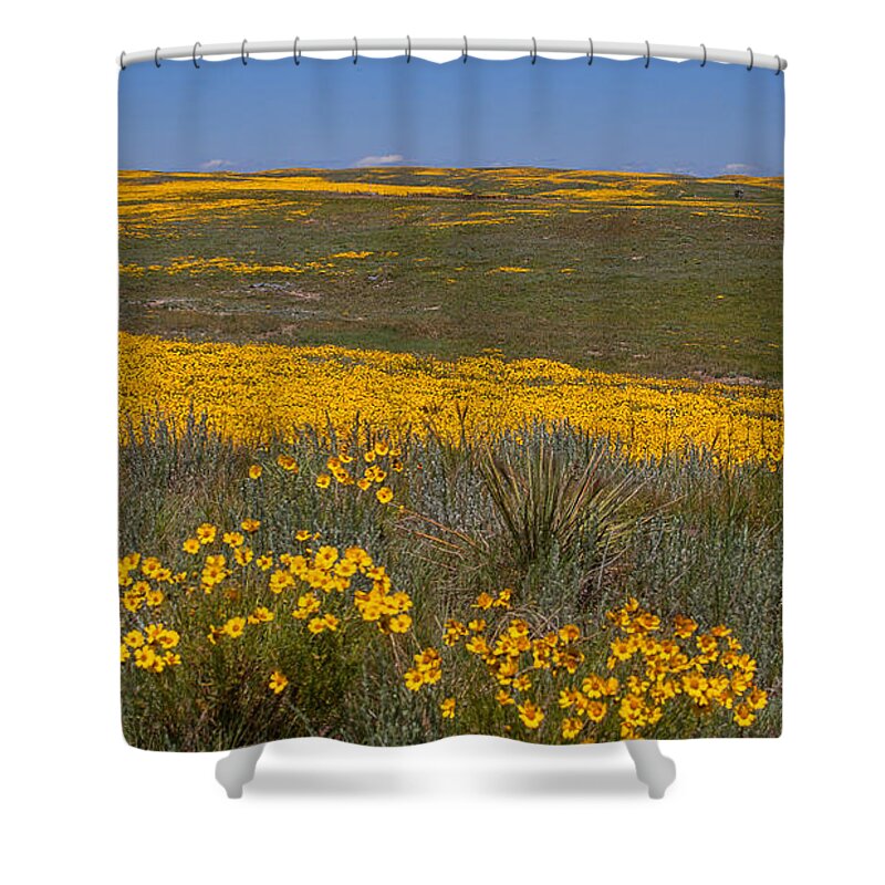 Yellow Wildflowers Shower Curtain featuring the photograph Little House On the prairie by Jim Garrison