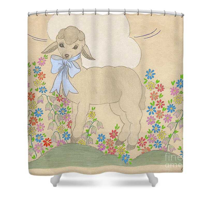 Little Lamb Shower Curtain featuring the drawing Little Lamb Lightened by Donna L Munro