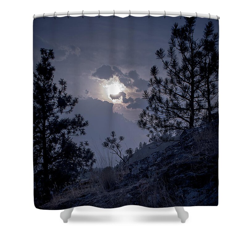 Rattlesnake Mt Shower Curtain featuring the photograph Little Pine by Troy Stapek