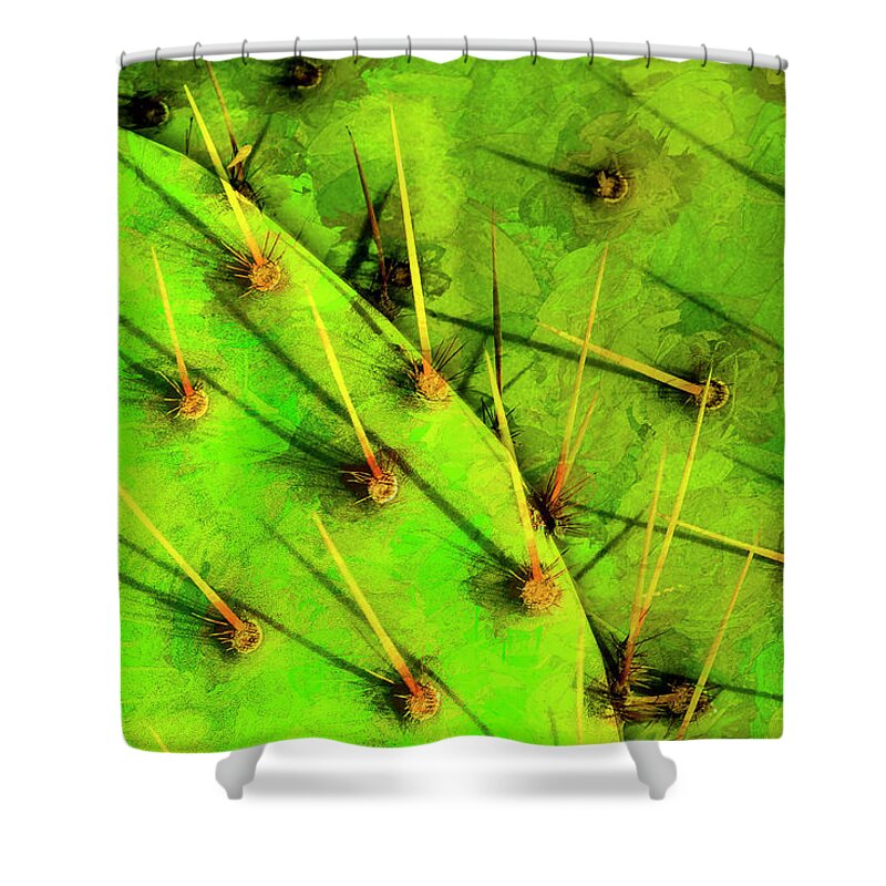 Photography Shower Curtain featuring the photograph Prickly Pear by Paul Wear