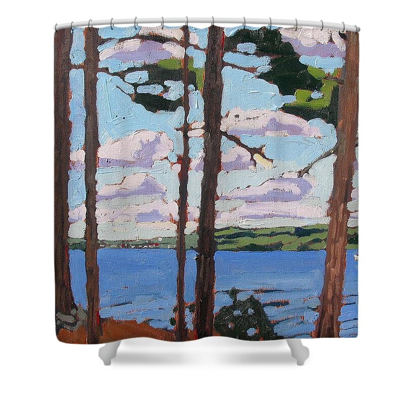 Rideau Shower Curtain featuring the painting Little Rideau Lake by Phil Chadwick