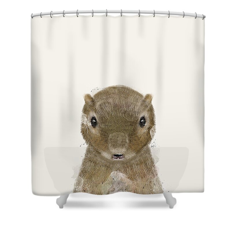 Squirrels Shower Curtain featuring the painting Little Squirrel by Bri Buckley