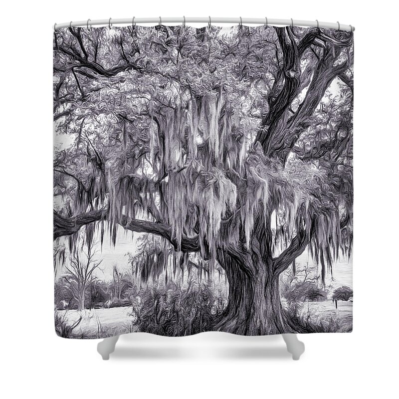 Evergreen Plantation Shower Curtain featuring the photograph Live Oak and Spanish Moss - Paint BW 2 by Steve Harrington