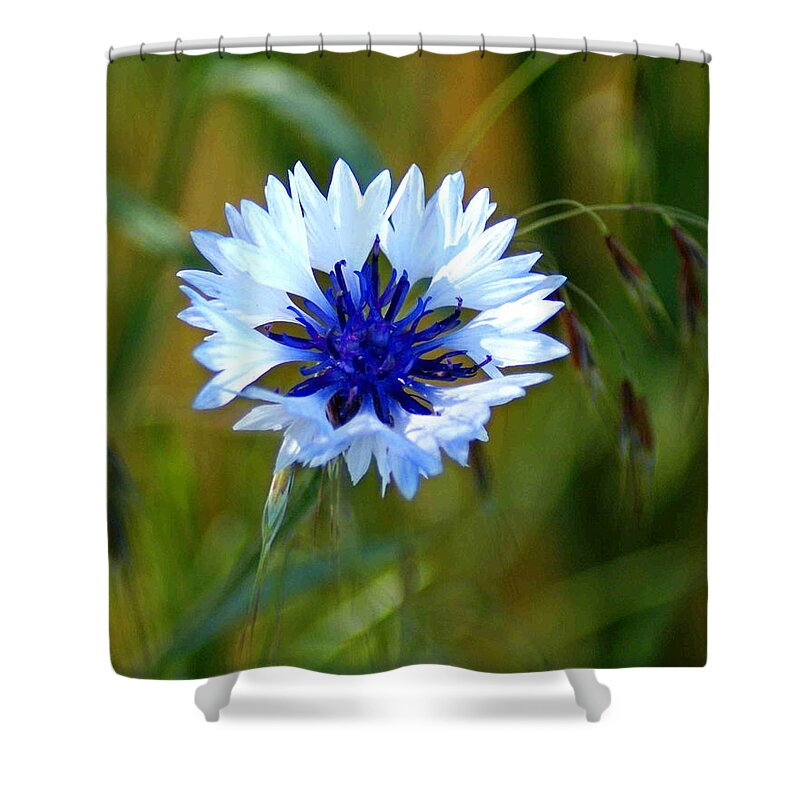 Flowers Shower Curtain featuring the photograph Living in the Lawn by Ben Upham III