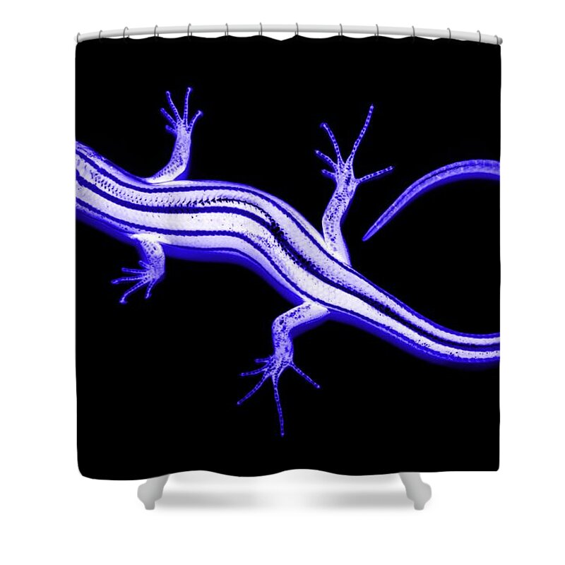 Landscape Shower Curtain featuring the photograph Lizard with Negative Attitude by Morgan Carter