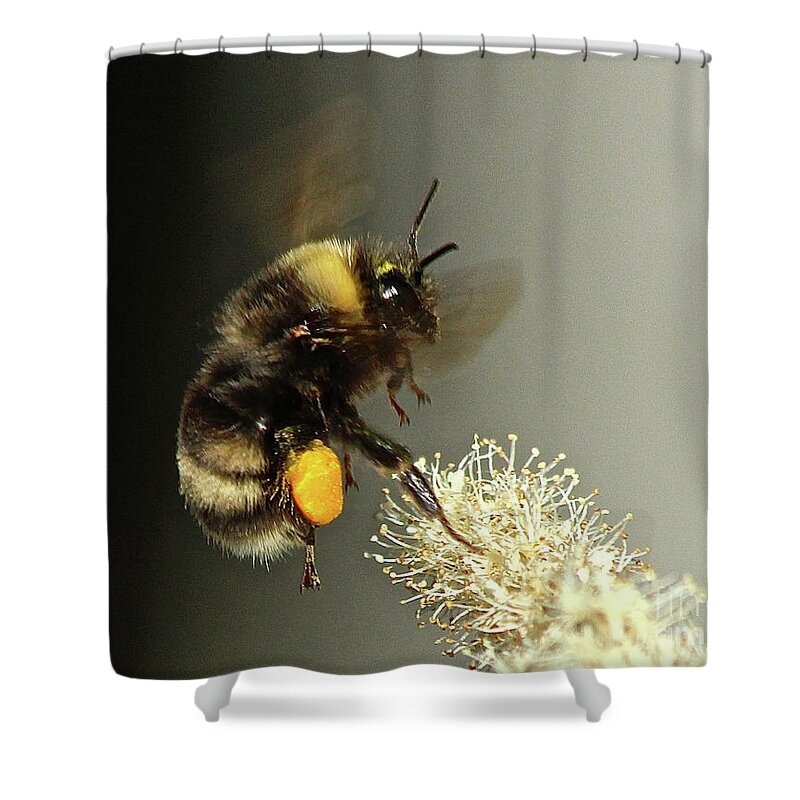Flying Bee Shower Curtain featuring the photograph Loaded by Ann E Robson