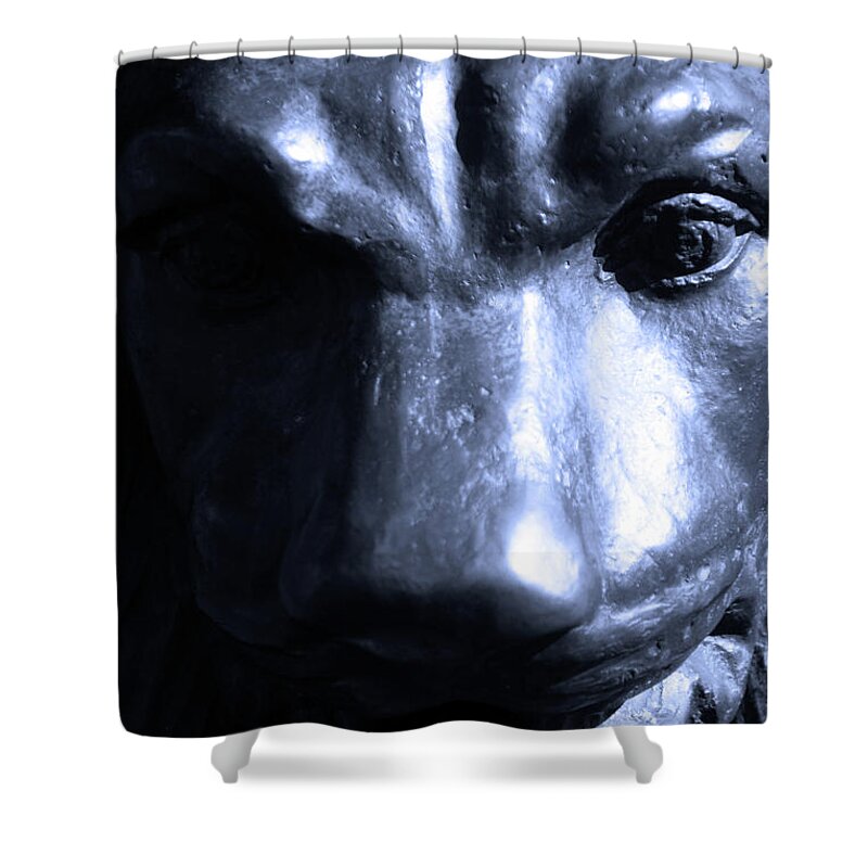 Heaton Shower Curtain featuring the photograph Loar by Jez C Self