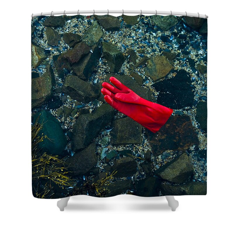 Acadia National Park Shower Curtain featuring the photograph Lobster glove by Brian Green