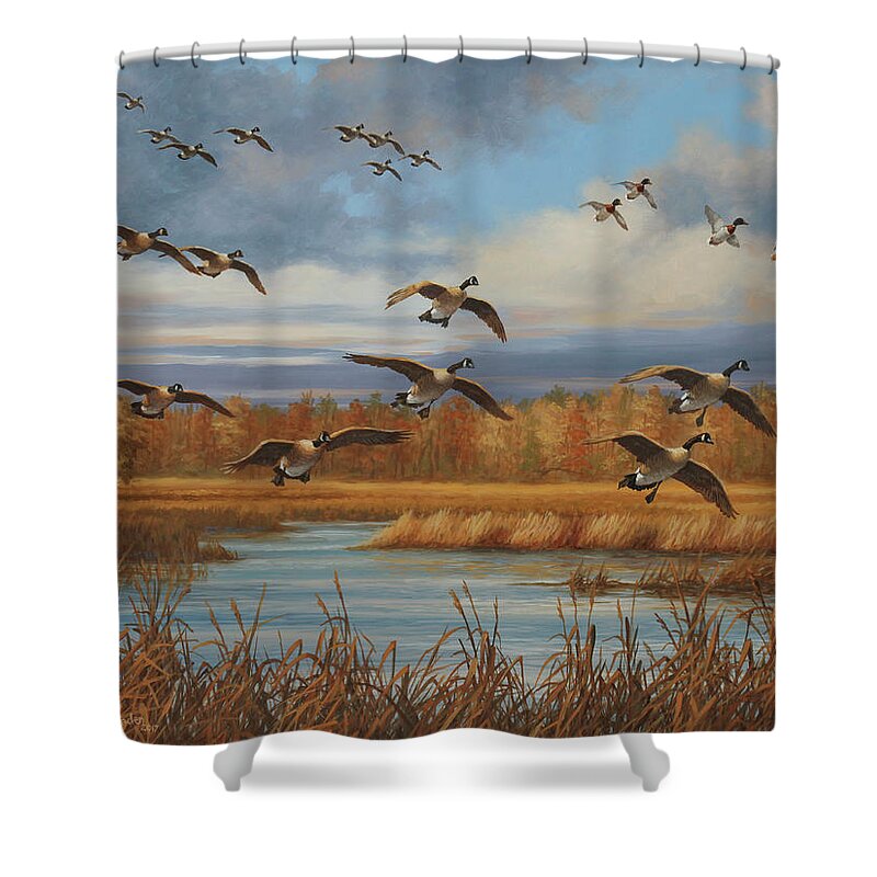 Canada Geese Shower Curtain featuring the painting Locked Up by Guy Crittenden