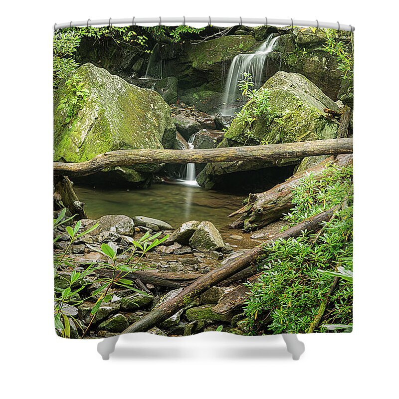 Smoky Mountains National Park Shower Curtain featuring the photograph Log Crossing by Jeffrey Ewig