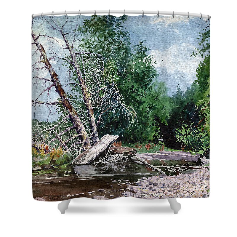 Washington State Shower Curtain featuring the painting Log Jam by Donald Maier